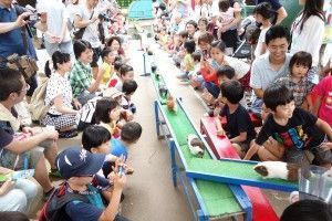 久しぶりに動物園